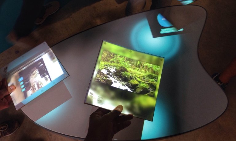 Interactive seedboard