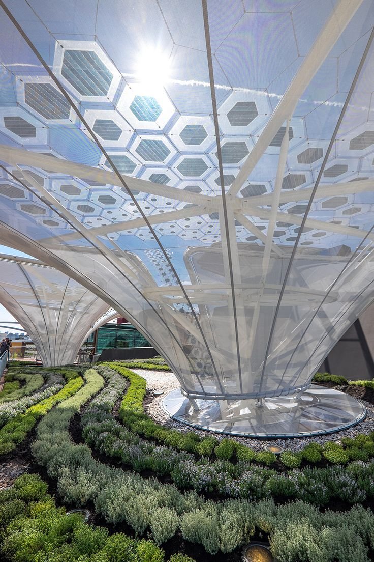 Solar trees with solar cells